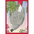 Pipsqueak Productions Pipsqueak Productions C873 African Grey Holiday Bird Christmas Boxed Cards - Pack of 10 C873